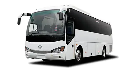 Mini Luxury Coach