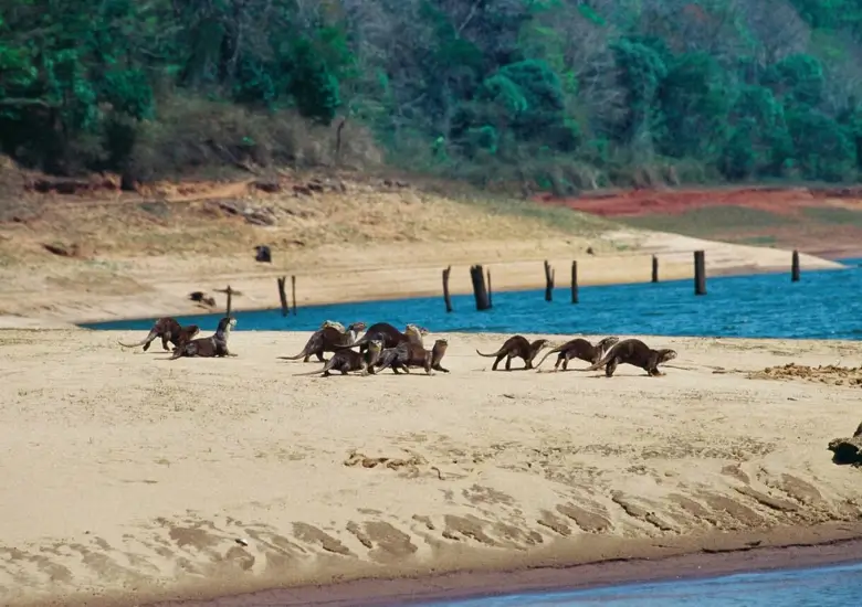 Thekkady & Periyar National Park