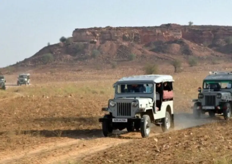 Bishnoi Village Safari