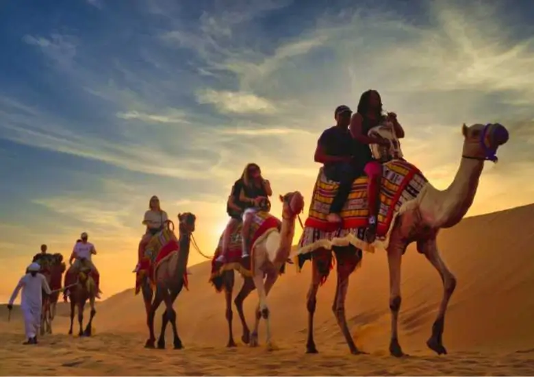Camel Safari Experience