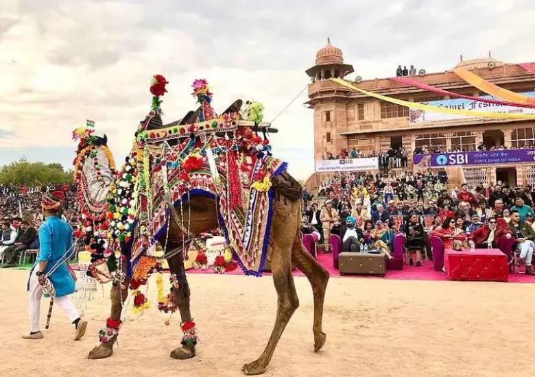 Bikaner Camel Festival