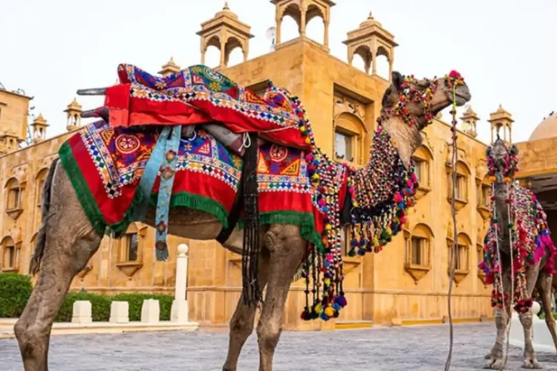 Rajasthan Heritage & Culture Tour | Forts, Palaces & Havelis