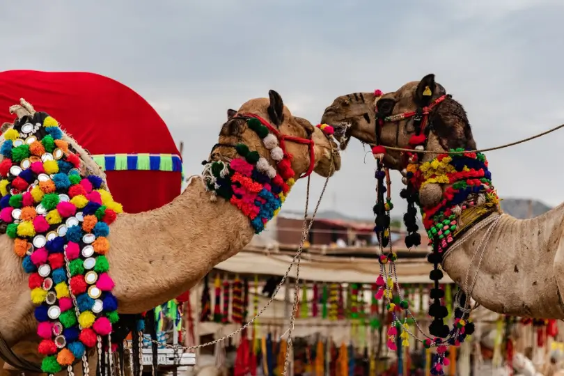 Grand Golden Triangle Rajasthan Tour | Forts & Palaces
