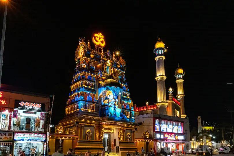 Grand India Golden Triangle Tour with Kerala & Goa