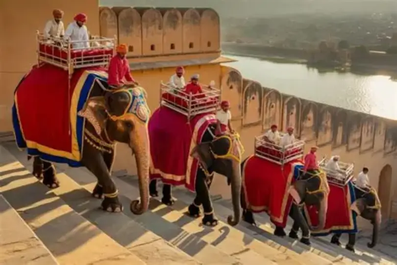 Golden Triangle Tour with Elephant Ride at Amber Fort