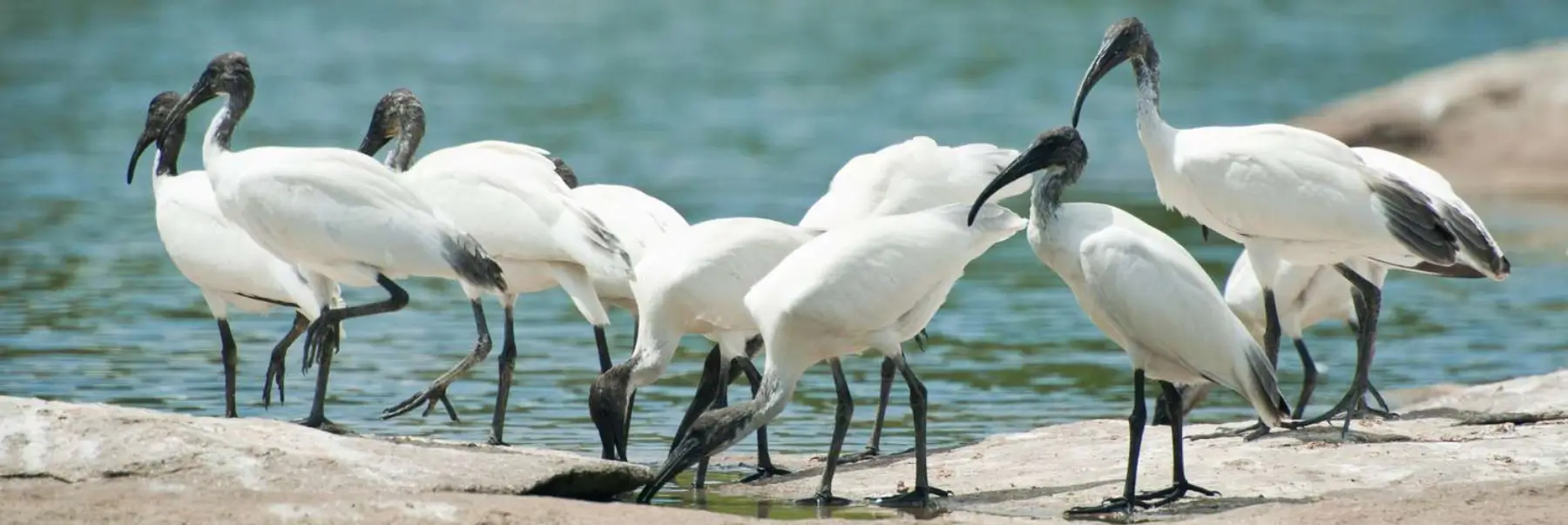 Golden Triangle with Bharatpur Bird Sanctuary Tour