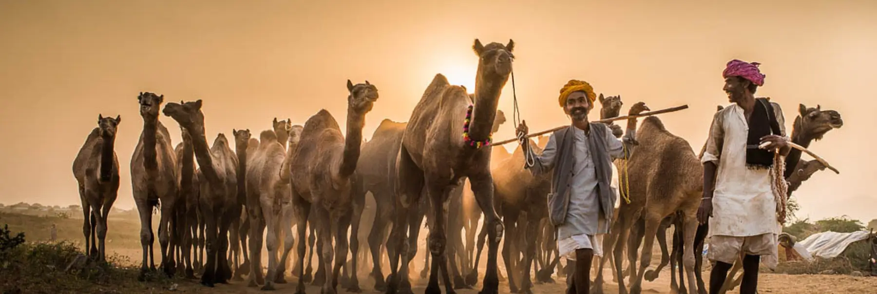 Golden Triangle Photography Tour