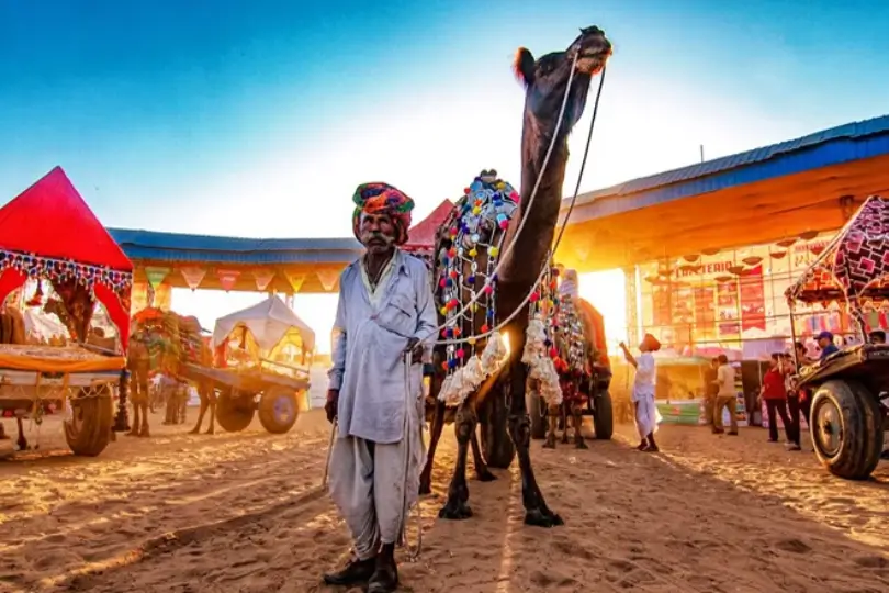Luxury Nimaj Village Tour with Chhatra Sagar Tented Camp
