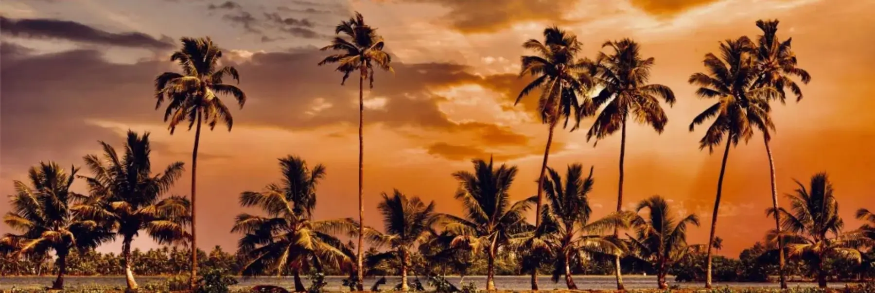Luxury Kerala Tour with Backwaters