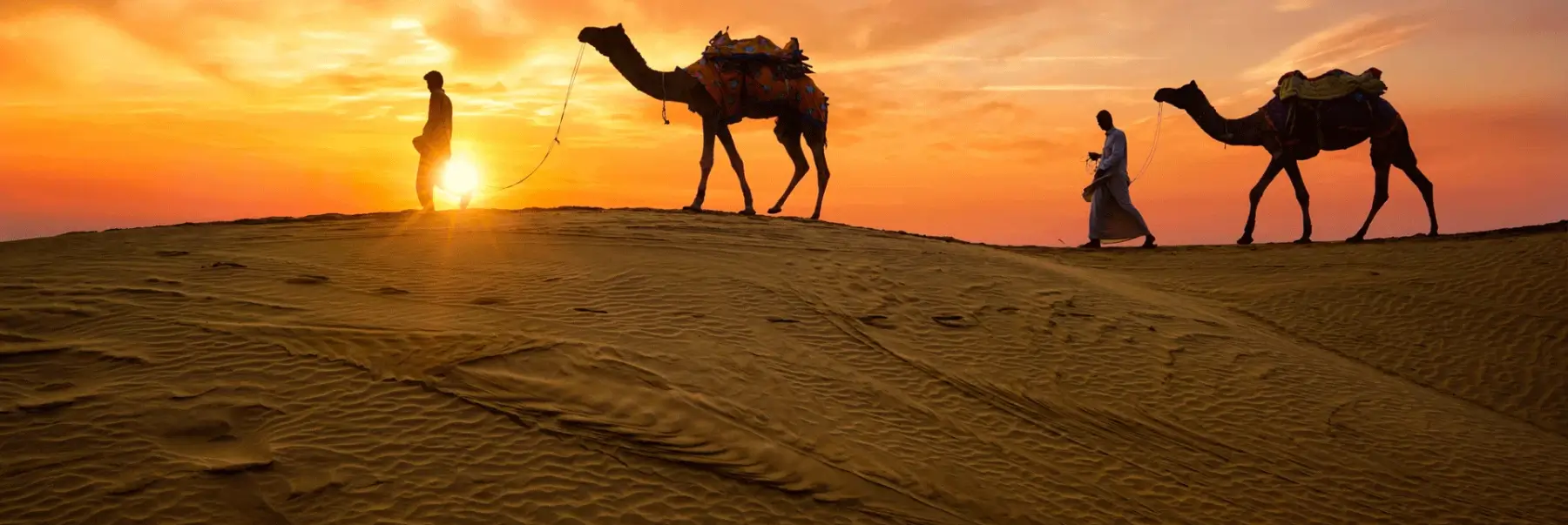 Highlights of Rajasthan Tour | Jaipur Udaipur Jodhpur Jaisalmer