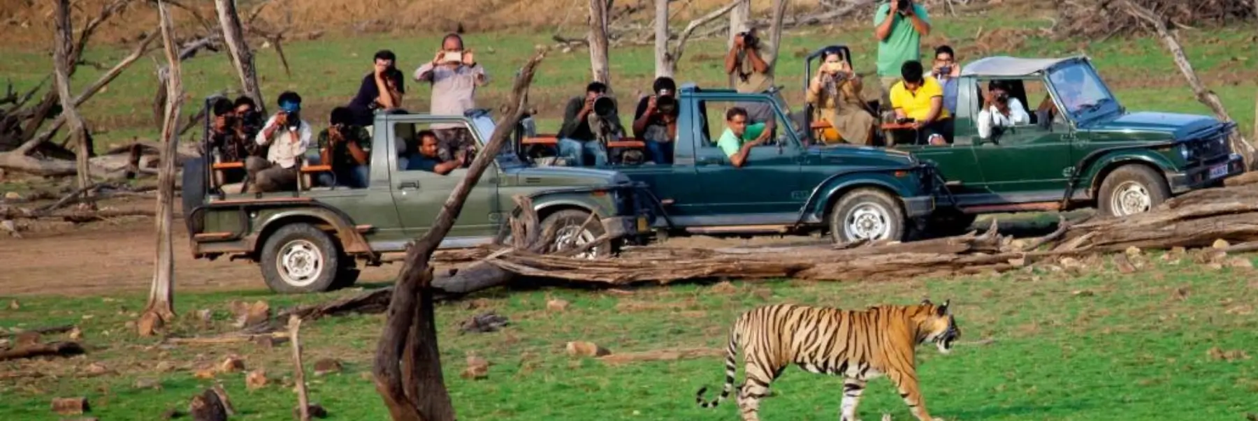 Golden Triangle Wildlife Tour