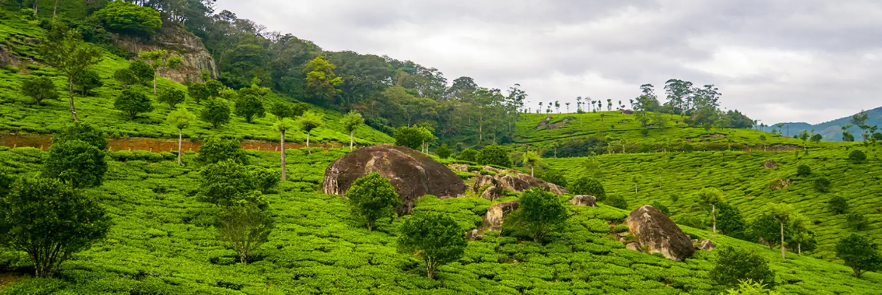 Golden Triangle with South India Tour | Kerala Extension