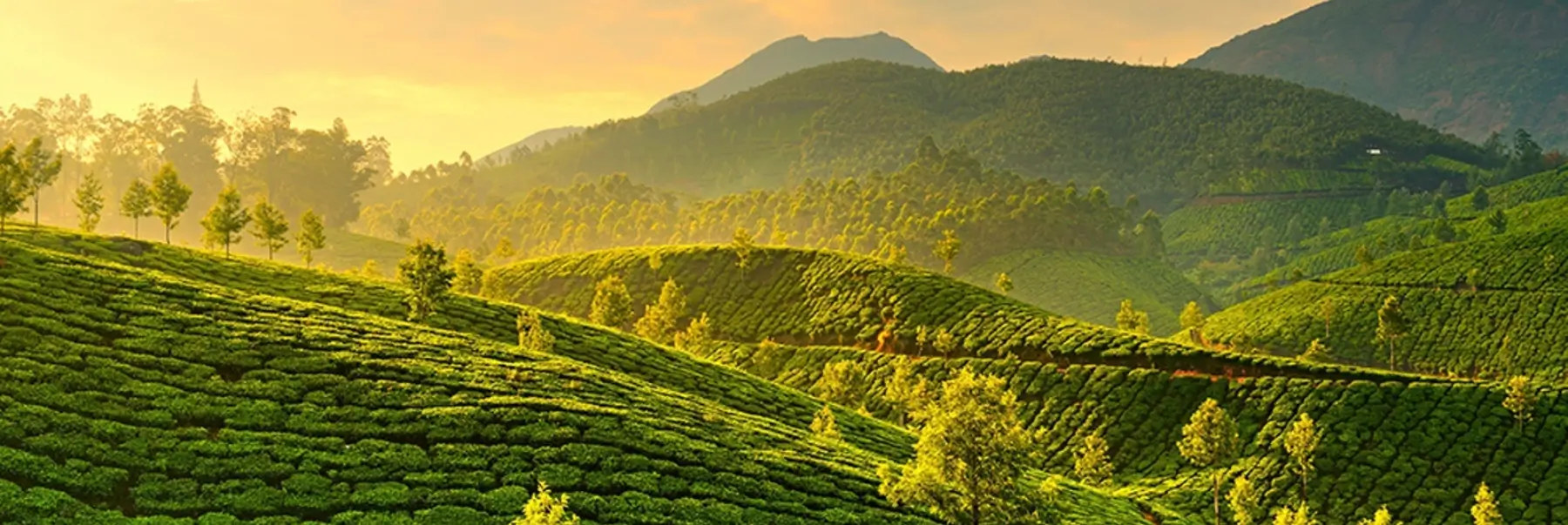 Luxury South India Grand Tour | Madurai Kochi Alleppey