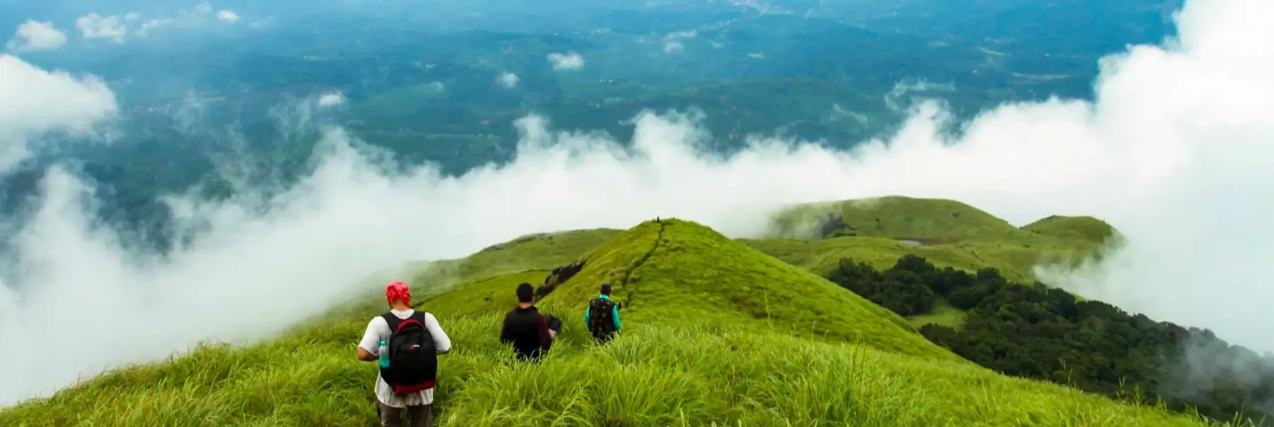 Luxury South India Wildlife & Backwaters Tour | Bandipur