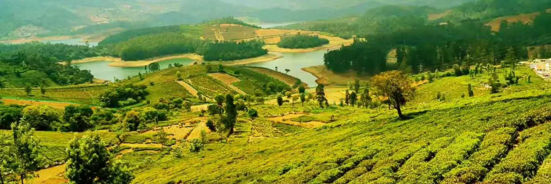 Luxury South India Hill Stations & Backwaters Tour
